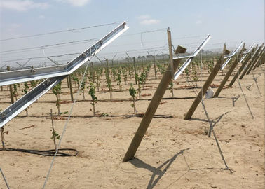 Горячие окунутые гальванизированные колья виноградной лозы металла включают достигаемость солнечного света делают виноградину вырасти