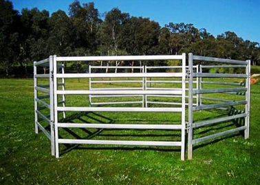 Metal Livestock Field Portable Stockyard Panels For Cattle Sheep Or Horse 1.8X2.1 Meter