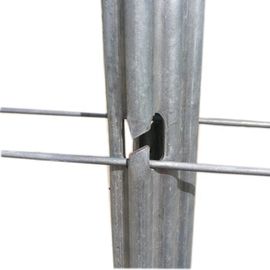Plum Blossom Metal Grape Stakes / Metal Vineyard Posts With H Hole Pillar Shape