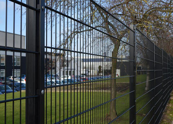 Двойная проволочная изгородь сваренная штангой обшивает панелями загородку ячеистой сети металла высоты 1600мм