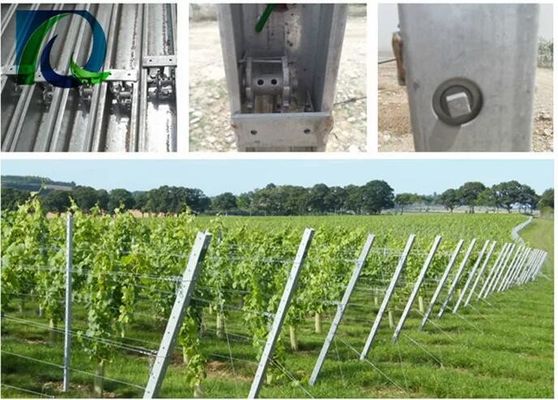 столб шпалеры виноградины 1.5mm 54X30MM с 2 бортовыми отверстиями h
