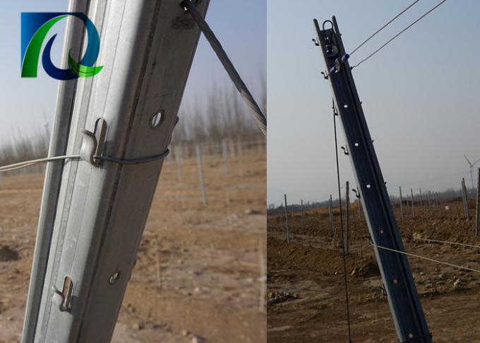 Столбы загородки виноградника Eco дружелюбные/столб сада с аксессуарами выдерживают сопротивление